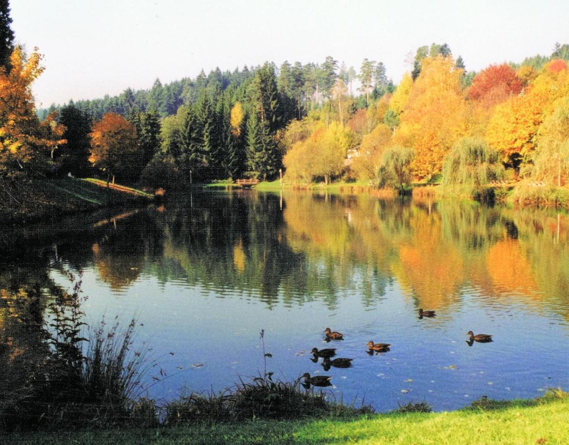Hotel Breitenbacher Hof วัลดาคทาล ภายนอก รูปภาพ